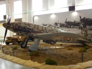 Il Macchi MC 205