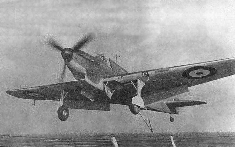 Fulmar Mk I in atterraggio